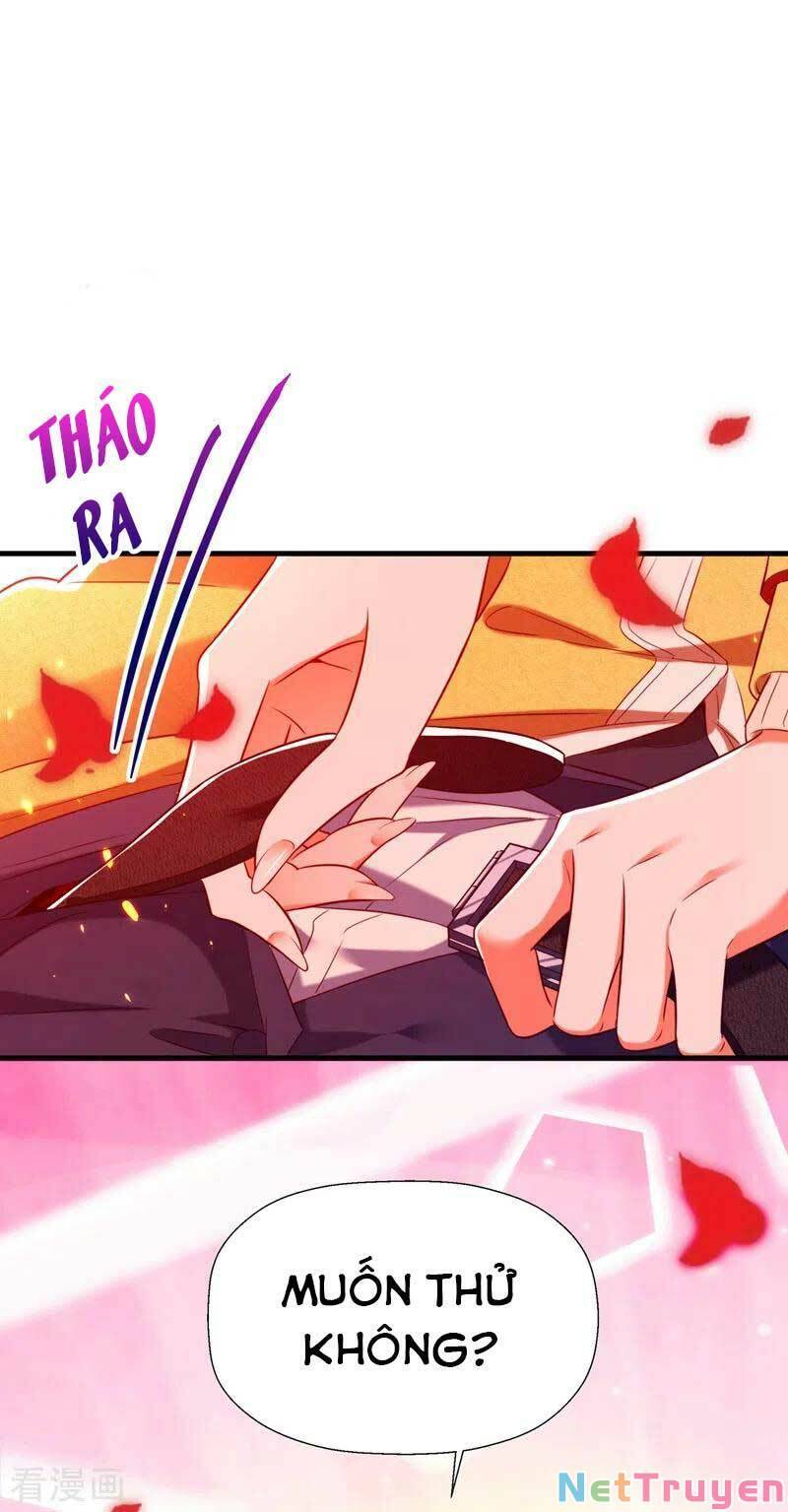 Trùng Sinh Không Gian: Cô Vợ Hào Môn Nóng Bỏng Không Dễ Chọc Chap 153 - Next Chap 154