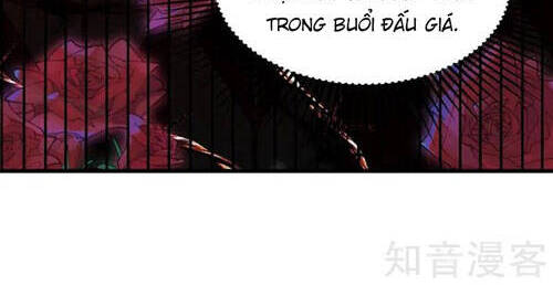 Trùng Sinh Không Gian: Cô Vợ Hào Môn Nóng Bỏng Không Dễ Chọc Chap 269 - Next Chap 270