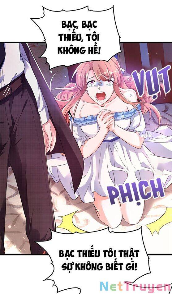 Trùng Sinh Không Gian: Cô Vợ Hào Môn Nóng Bỏng Không Dễ Chọc Chap 62 - Next Chap 63
