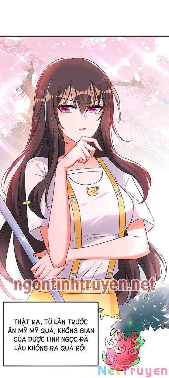 Trùng Sinh Không Gian: Cô Vợ Hào Môn Nóng Bỏng Không Dễ Chọc Chap 64 - Next Chap 65