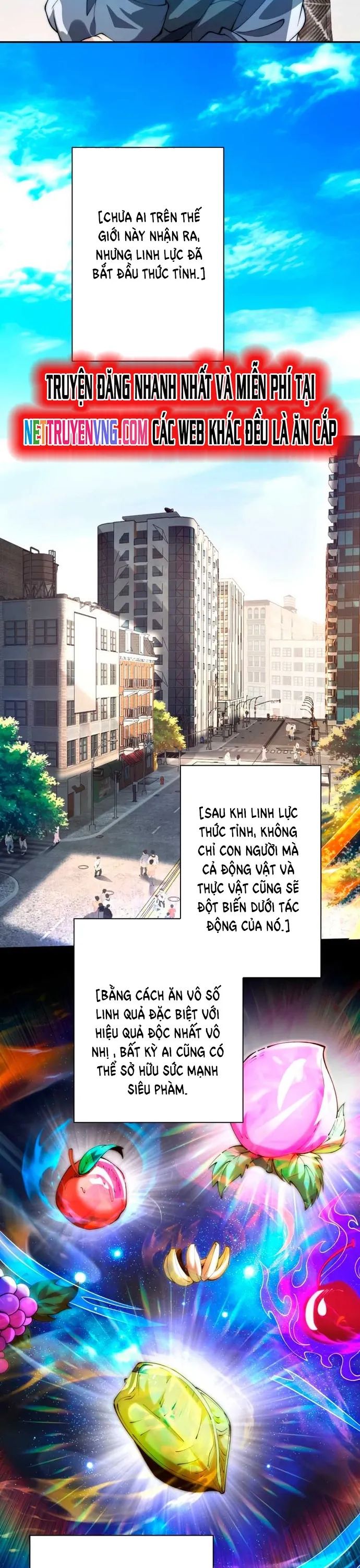 Trùng Sinh: Tôi Đứng Top Nhờ Hệ Thống Gian Lận Chap 1 - Next Chap 2