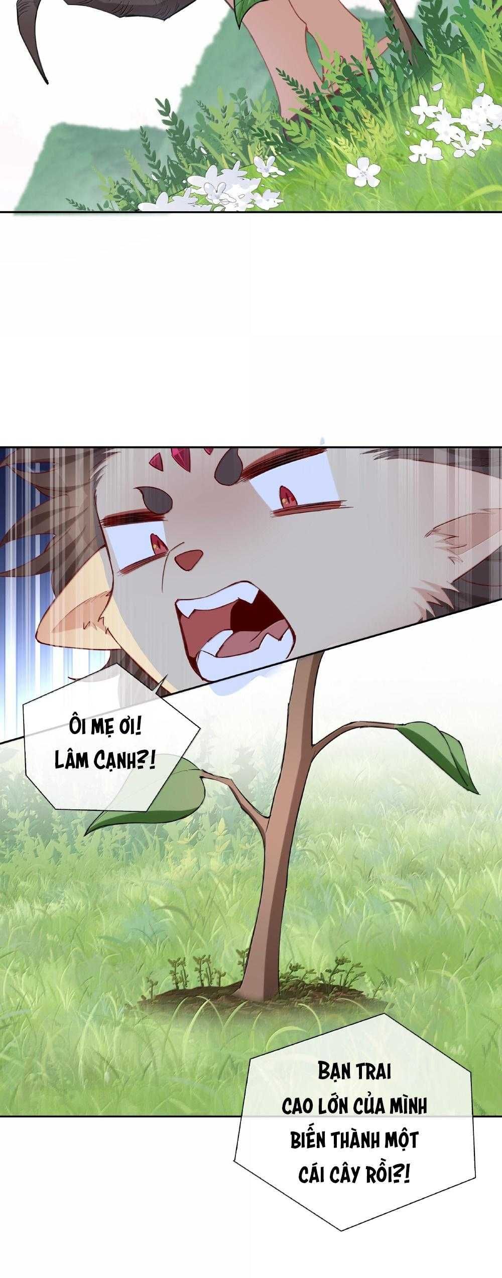 Trường Cấp Ba Sơn Hải Chap 101 - Next Chap 102