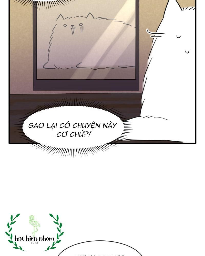 Truyện Ngôn Nhưng Không Ngôn Lắm Chap 15 - Next Chap 16