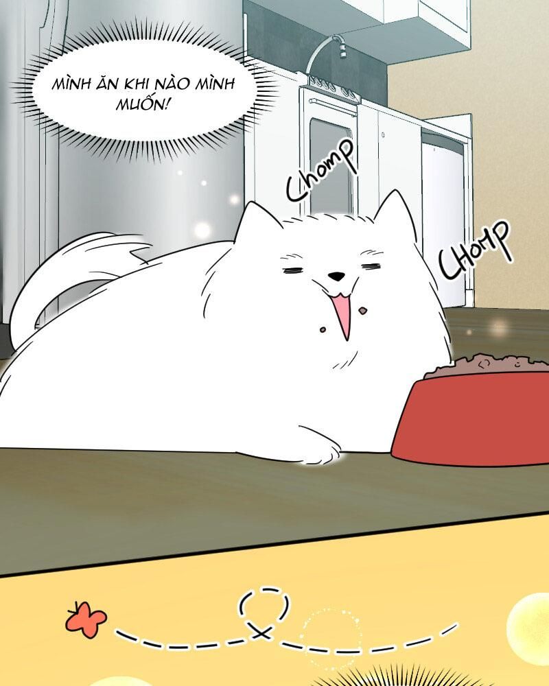 Truyện Ngôn Nhưng Không Ngôn Lắm Chap 15 - Next Chap 16