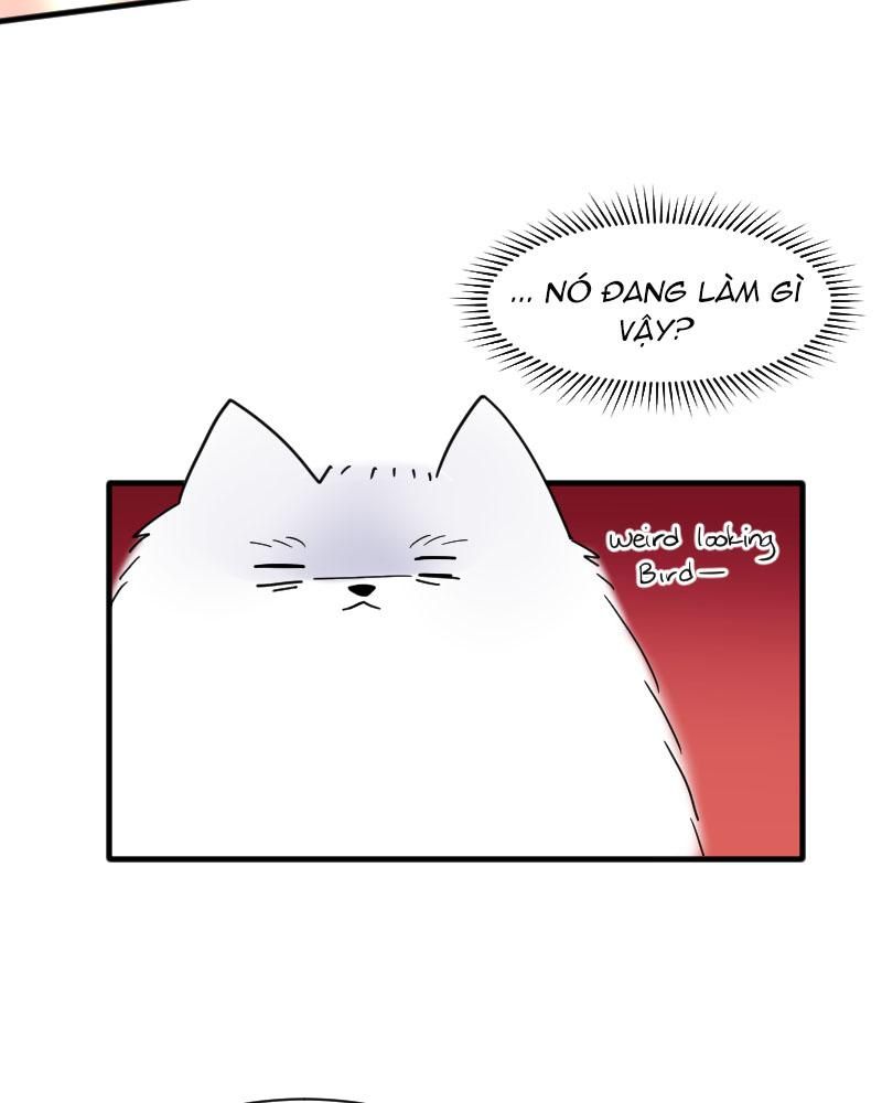 Truyện Ngôn Nhưng Không Ngôn Lắm Chap 15 - Next Chap 16