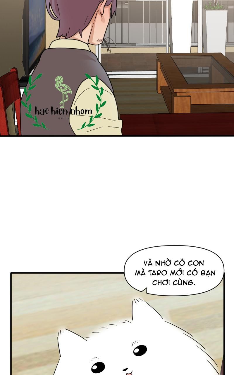 Truyện Ngôn Nhưng Không Ngôn Lắm Chap 26 - Next Chap 27