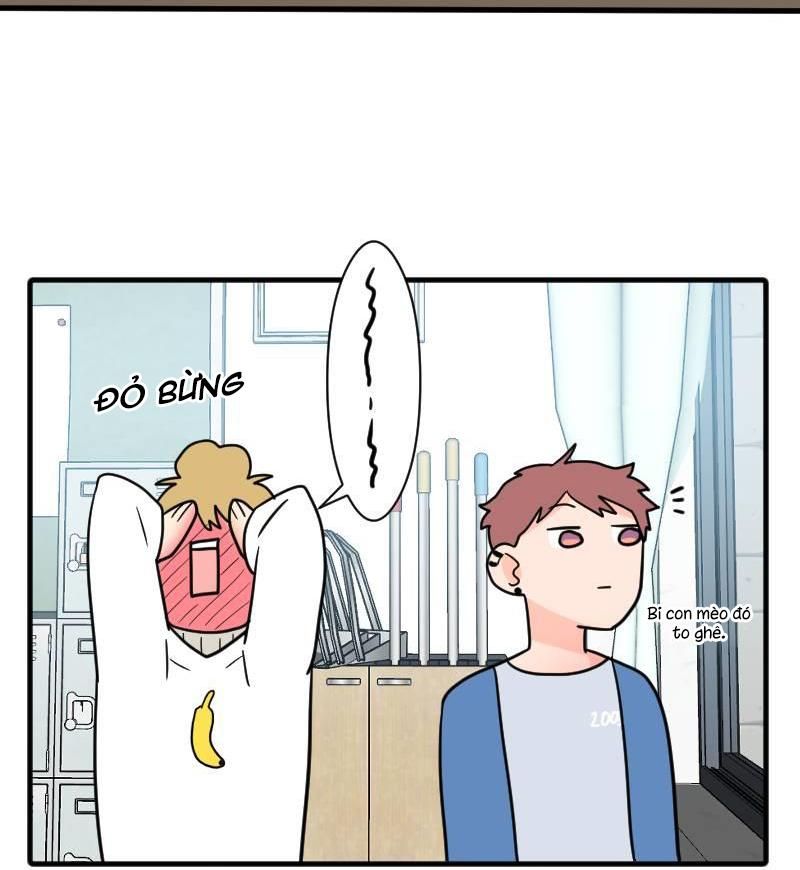 Truyện Ngôn Nhưng Không Ngôn Lắm Chap 38 - Next Chap 39