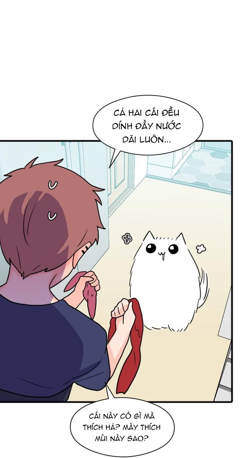 Truyện Ngôn Nhưng Không Ngôn Lắm Chap 41 - Next Chap 42