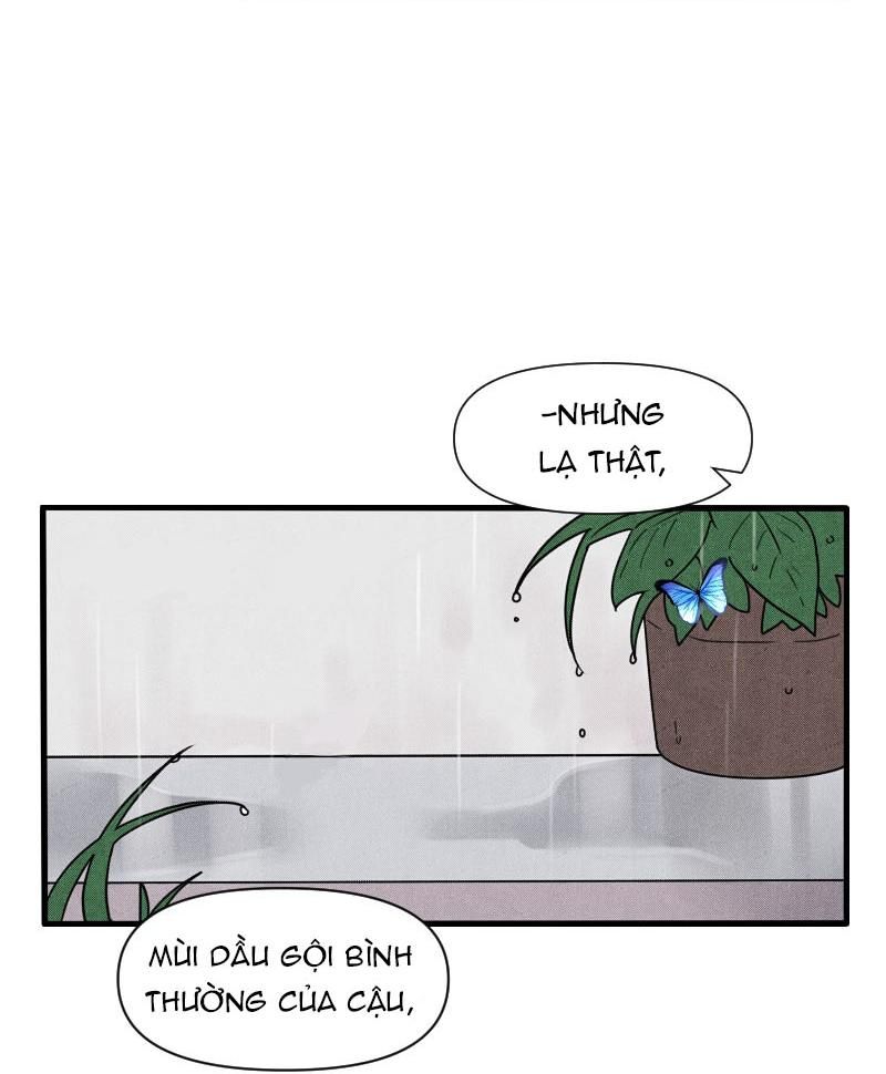 Truyện Ngôn Nhưng Không Ngôn Lắm Chap 58 - Next Chap 59