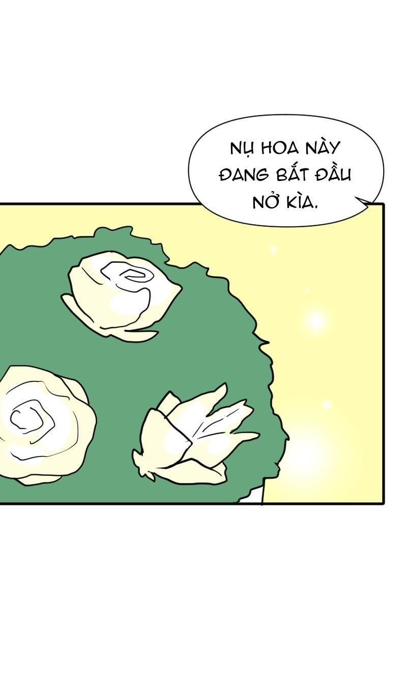 Truyện Ngôn Nhưng Không Ngôn Lắm Chap 62 - Next Chap 63