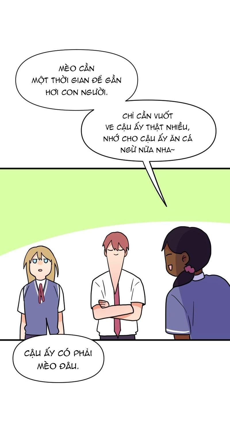 Truyện Ngôn Nhưng Không Ngôn Lắm Chap 64 - Next Chap 65