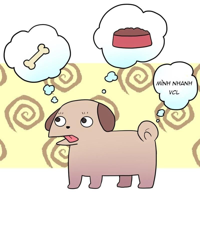 Truyện Ngôn Nhưng Không Ngôn Lắm Chap 64 - Next Chap 65