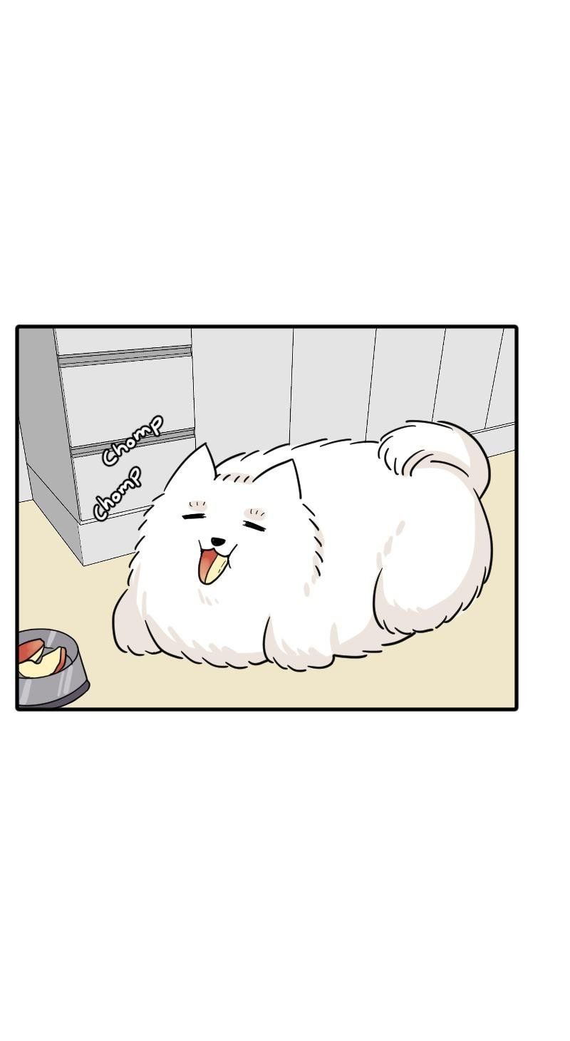 Truyện Ngôn Nhưng Không Ngôn Lắm Chap 68 - Next Chap 69
