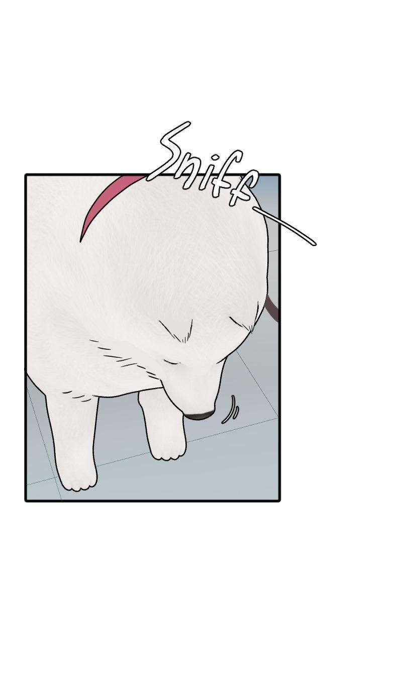 Truyện Ngôn Nhưng Không Ngôn Lắm Chap 69 - Next Chap 70