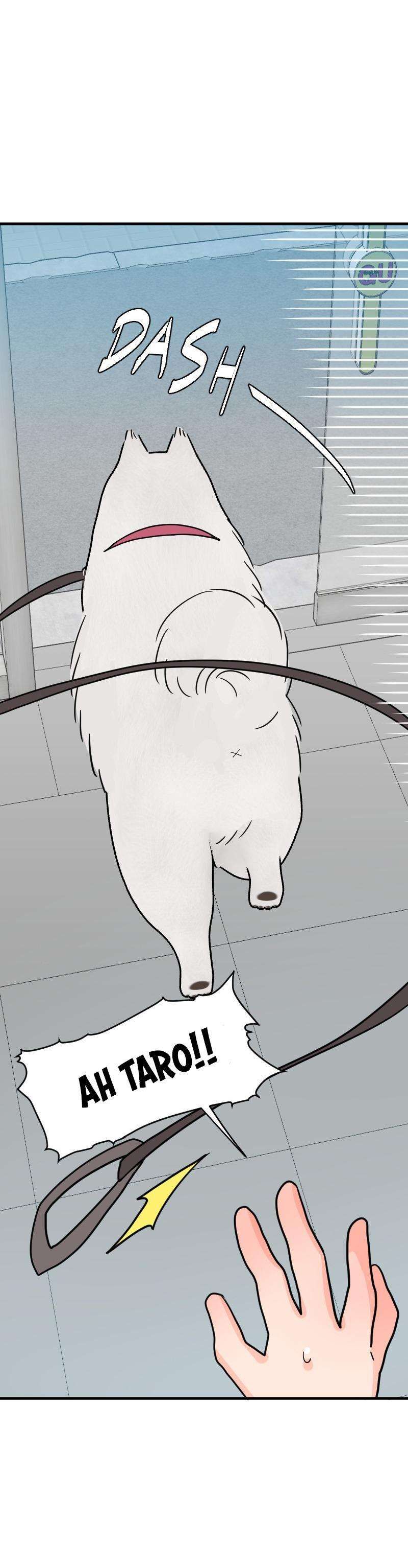 Truyện Ngôn Nhưng Không Ngôn Lắm Chap 69 - Next Chap 70