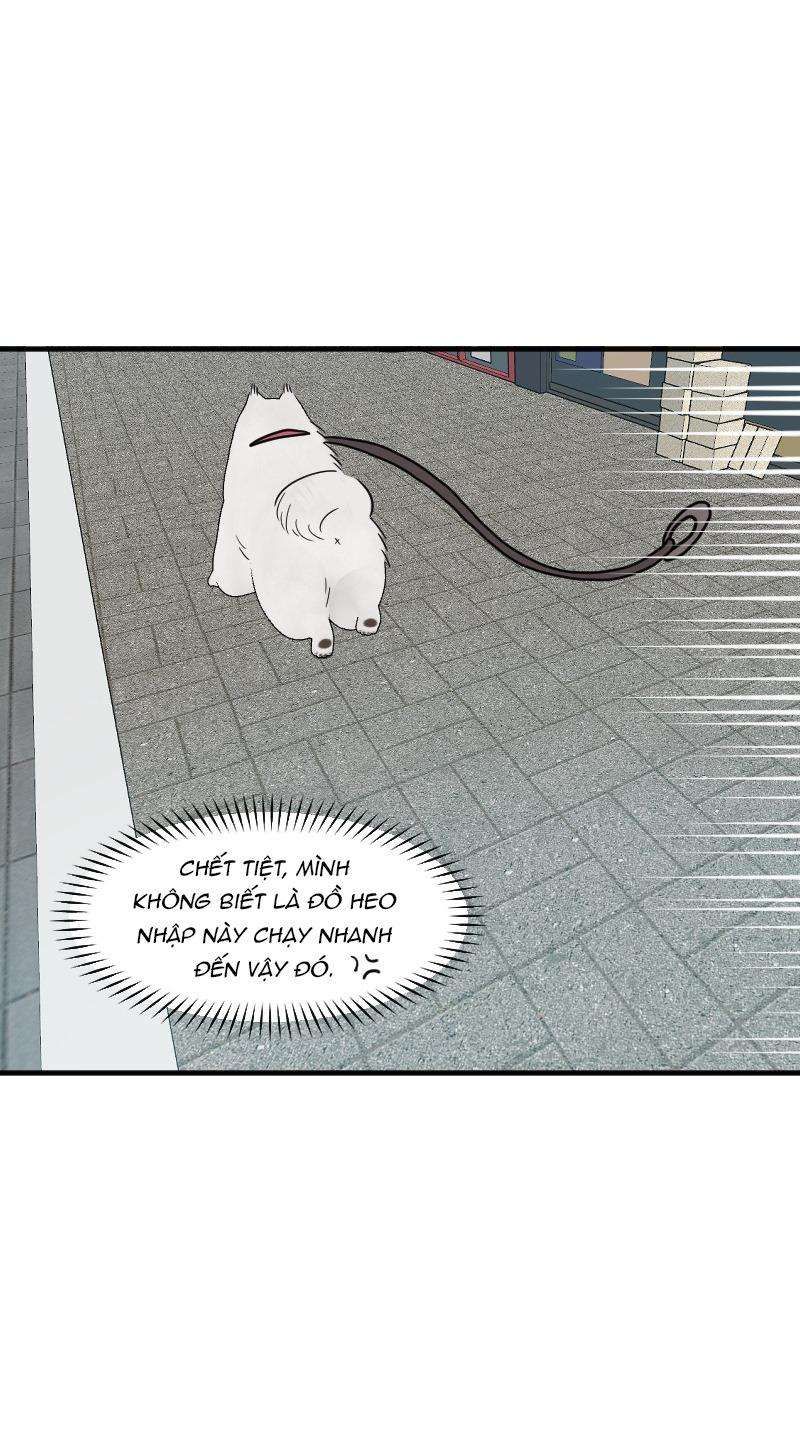 Truyện Ngôn Nhưng Không Ngôn Lắm Chap 69 - Next Chap 70