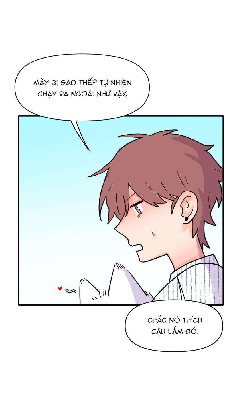 Truyện Ngôn Nhưng Không Ngôn Lắm Chap 69 - Next Chap 70