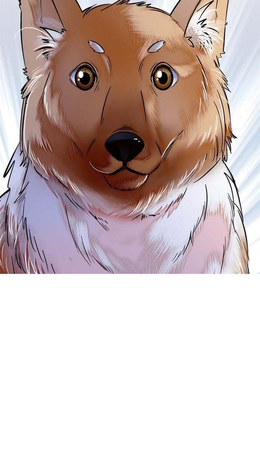 Tự Cẩm Chap 11 - Next Chap 12
