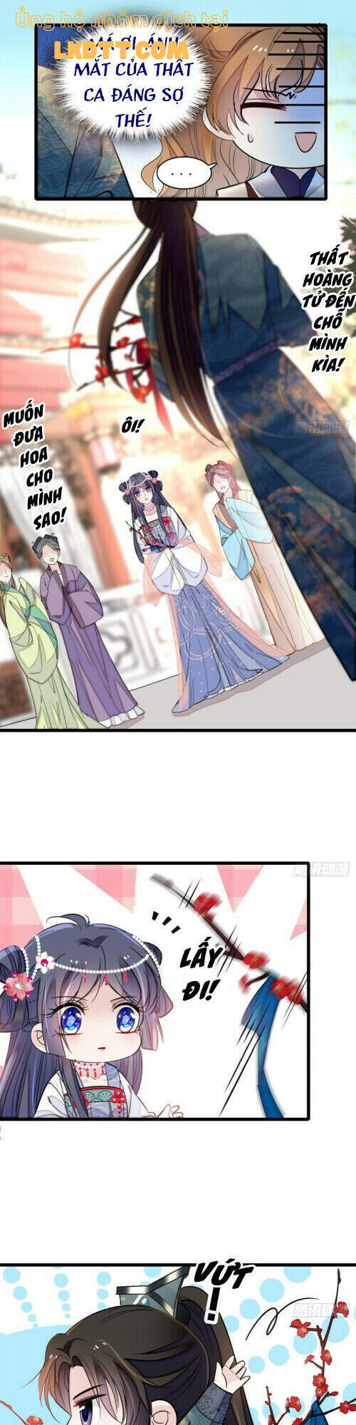Tự Cẩm Chap 126 - Next Chap 127