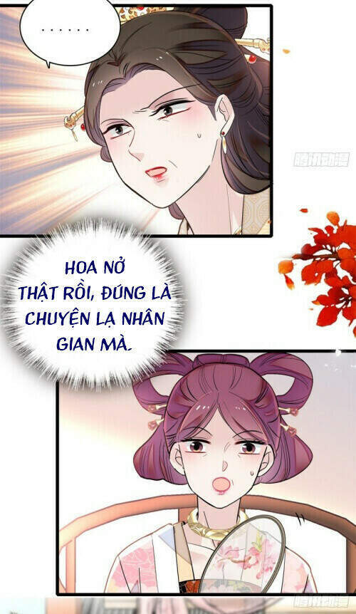 Tự Cẩm Chap 126 - Next Chap 127