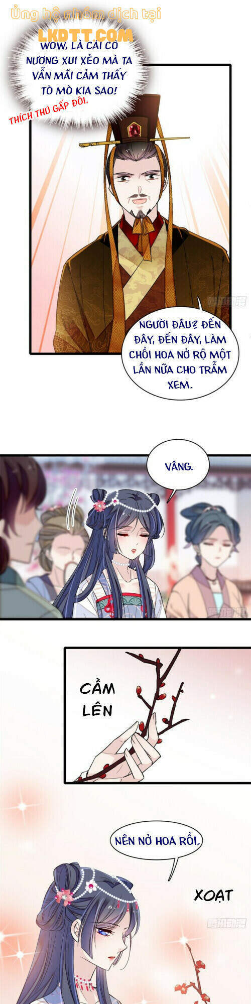 Tự Cẩm Chap 127 - Next Chap 128