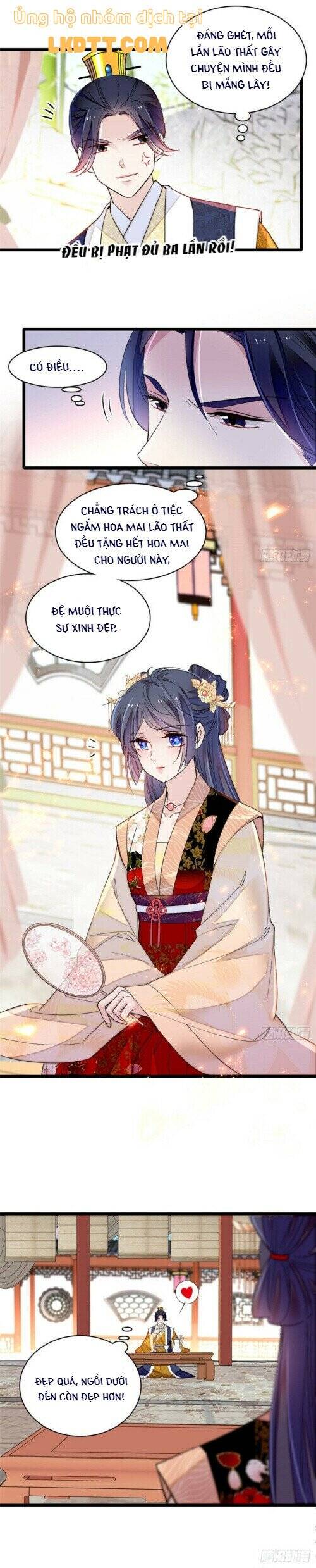 Tự Cẩm Chap 143 - Next Chap 144