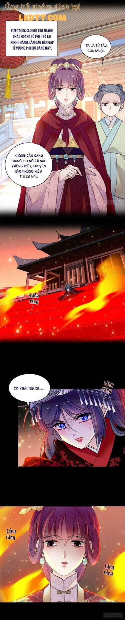 Tự Cẩm Chap 143 - Next Chap 144