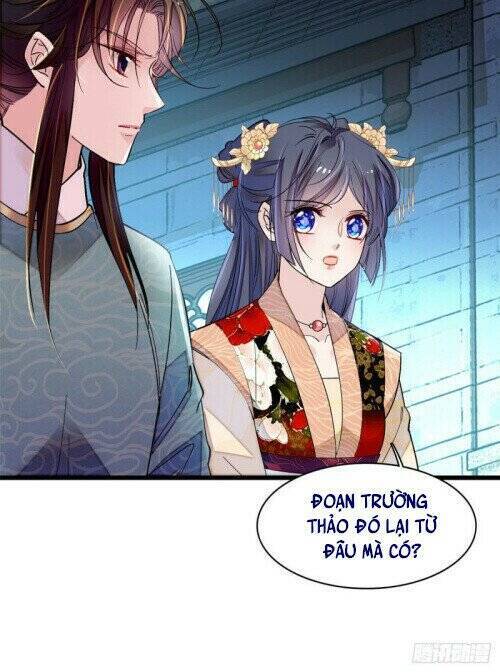 Tự Cẩm Chap 145 - Next Chap 146