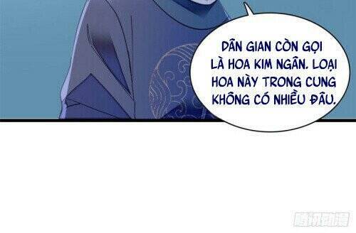 Tự Cẩm Chap 145 - Next Chap 146