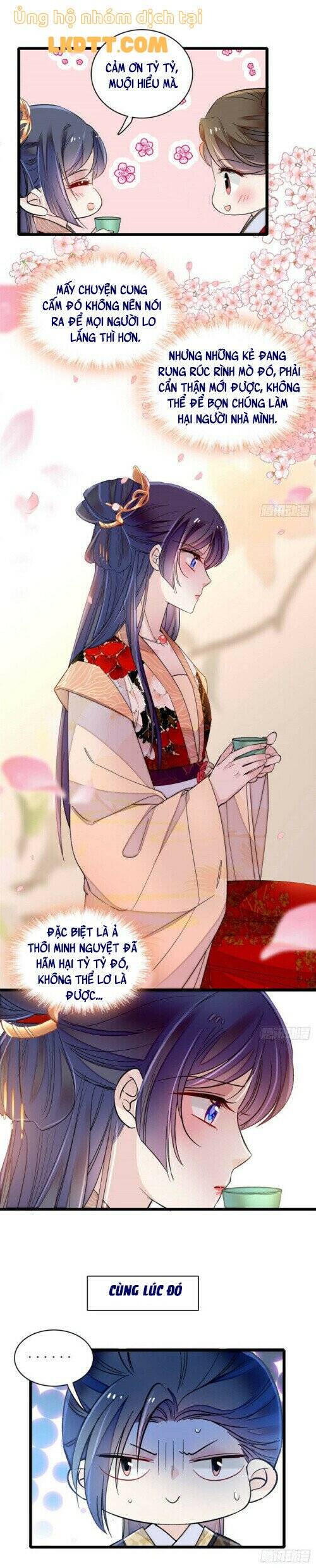 Tự Cẩm Chap 146 - Next Chap 147
