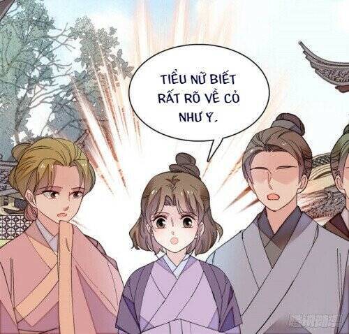 Tự Cẩm Chap 147 - Next Chap 148
