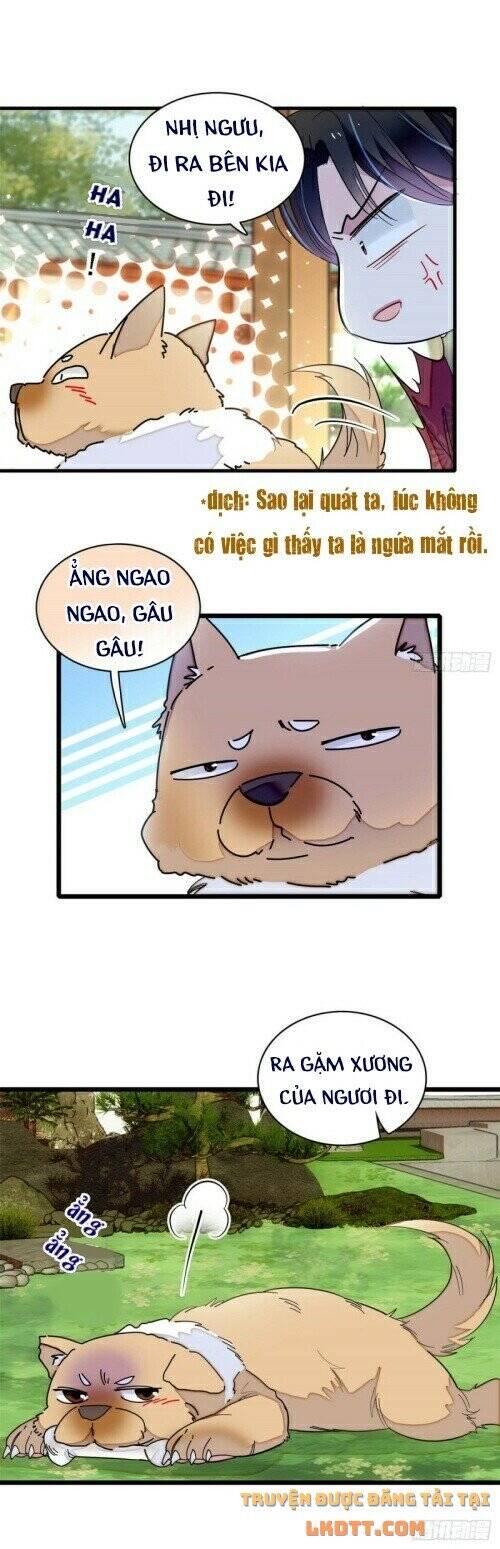 Tự Cẩm Chap 158 - Next Chap 159