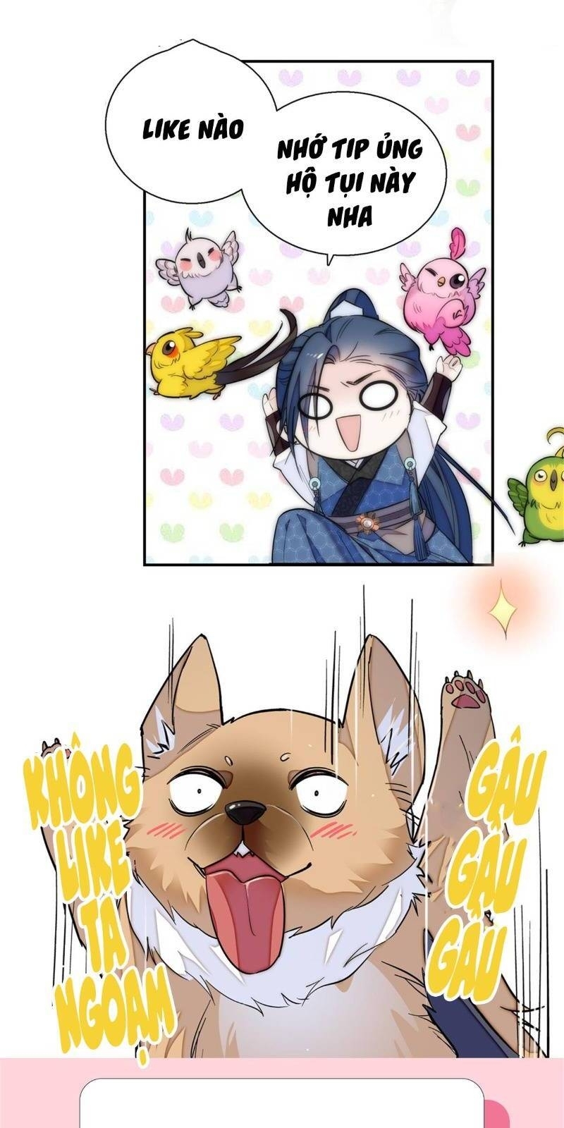 Tự Cẩm Chap 16 - Next Chap 17