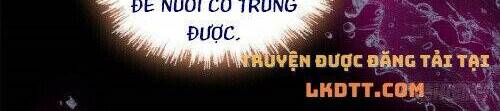 Tự Cẩm Chap 160 - Next Chap 161
