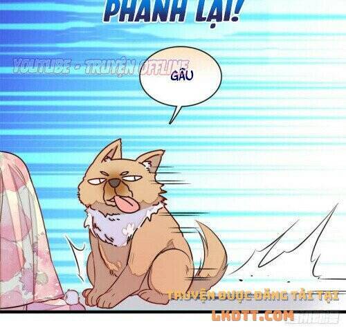 Tự Cẩm Chap 165 - Next Chap 166