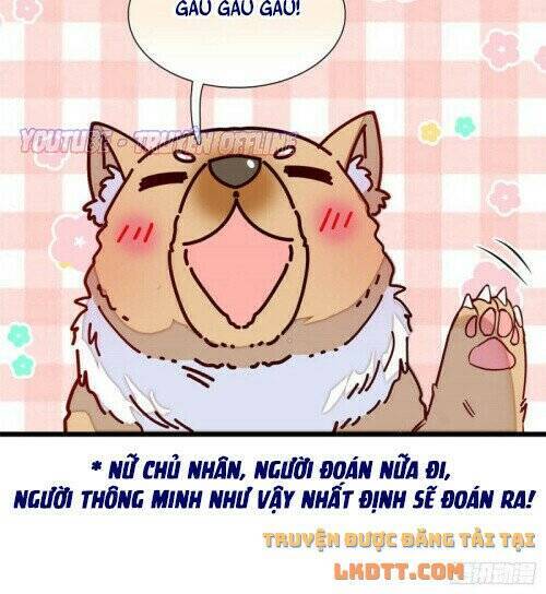 Tự Cẩm Chap 165 - Next Chap 166