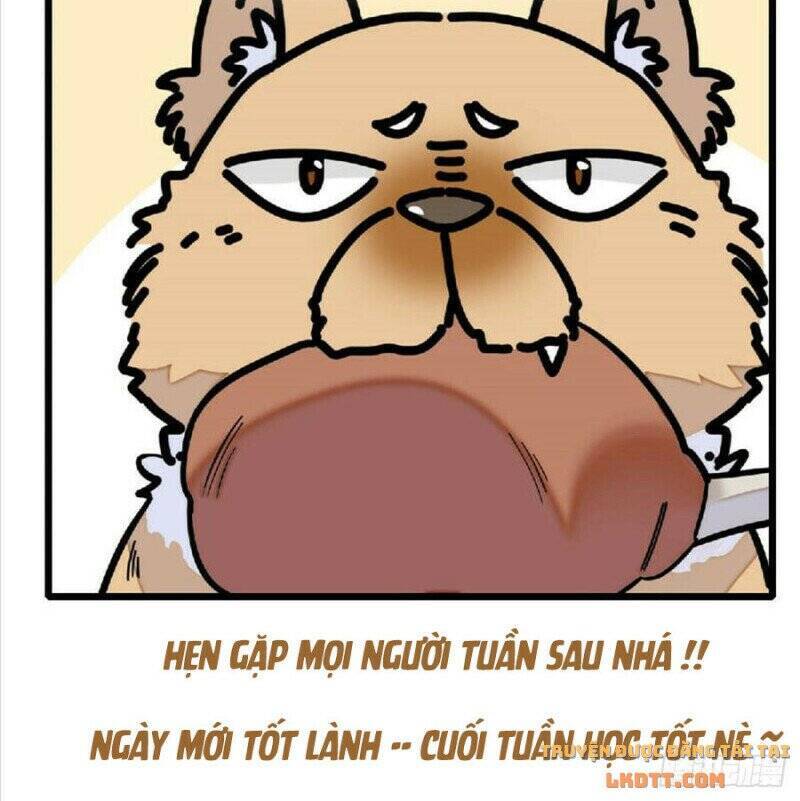 Tự Cẩm Chap 171 - Next Chap 172