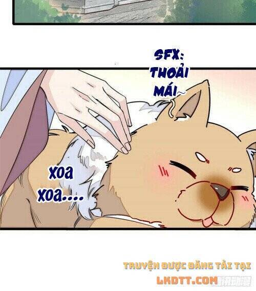 Tự Cẩm Chap 178 - Next Chap 179