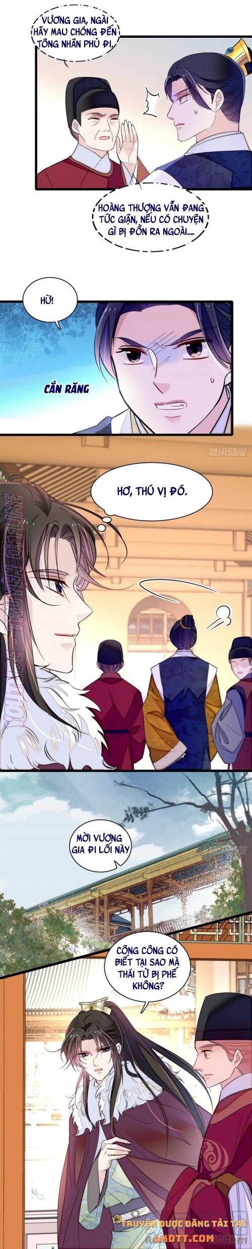 Tự Cẩm Chap 181 - Next Chap 182