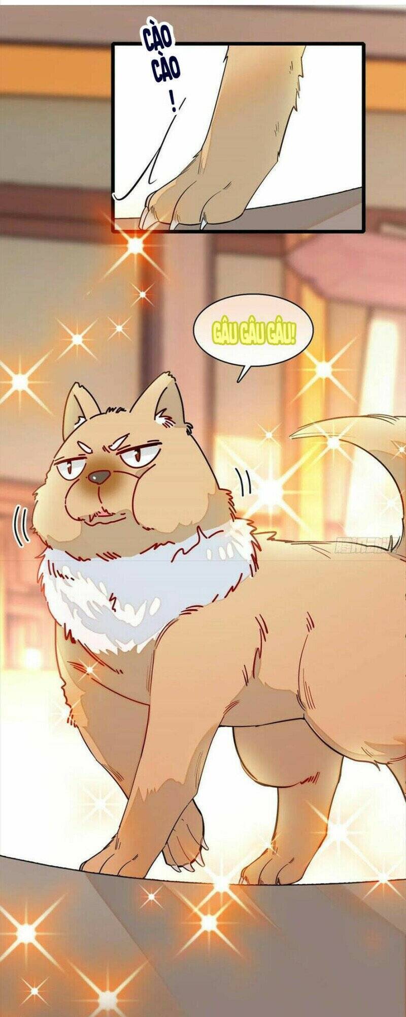 Tự Cẩm Chap 193 - Next Chap 194