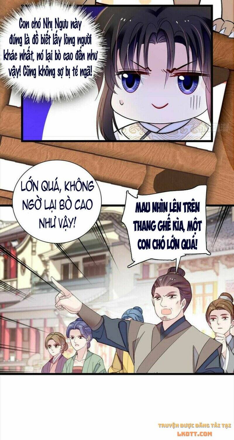 Tự Cẩm Chap 194 - Next Chap 195