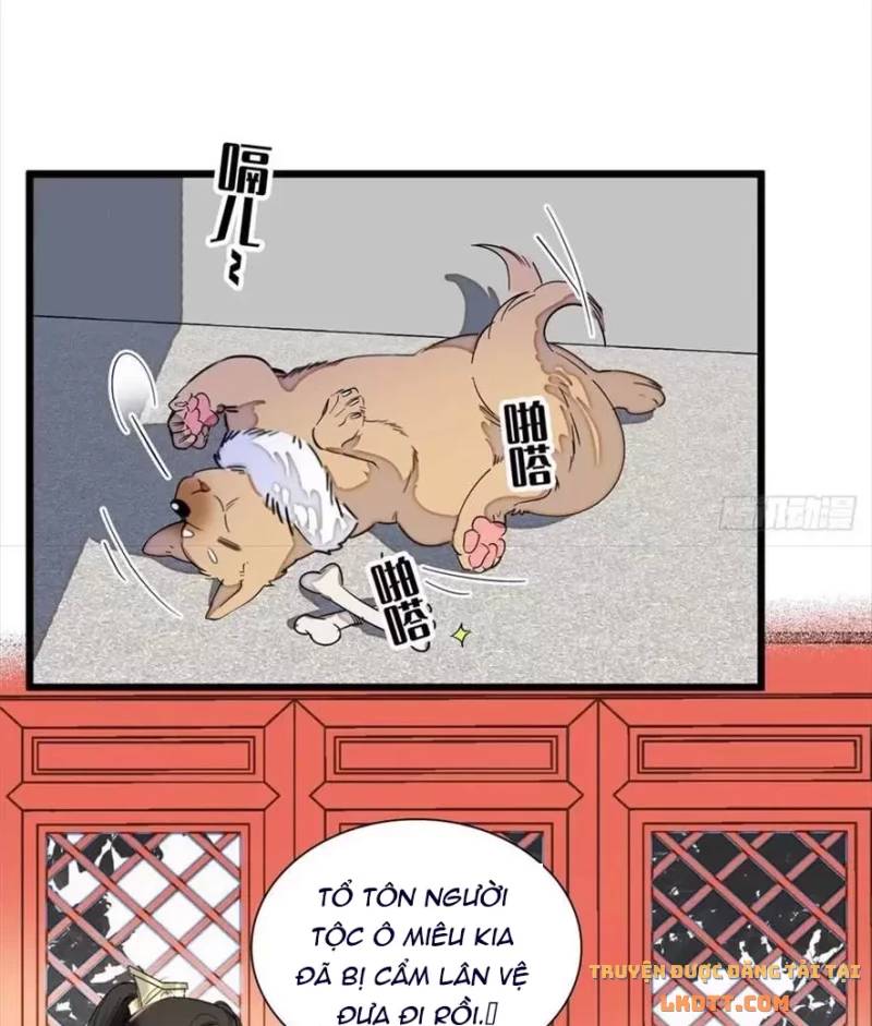 Tự Cẩm Chap 197 - Next Chap 198