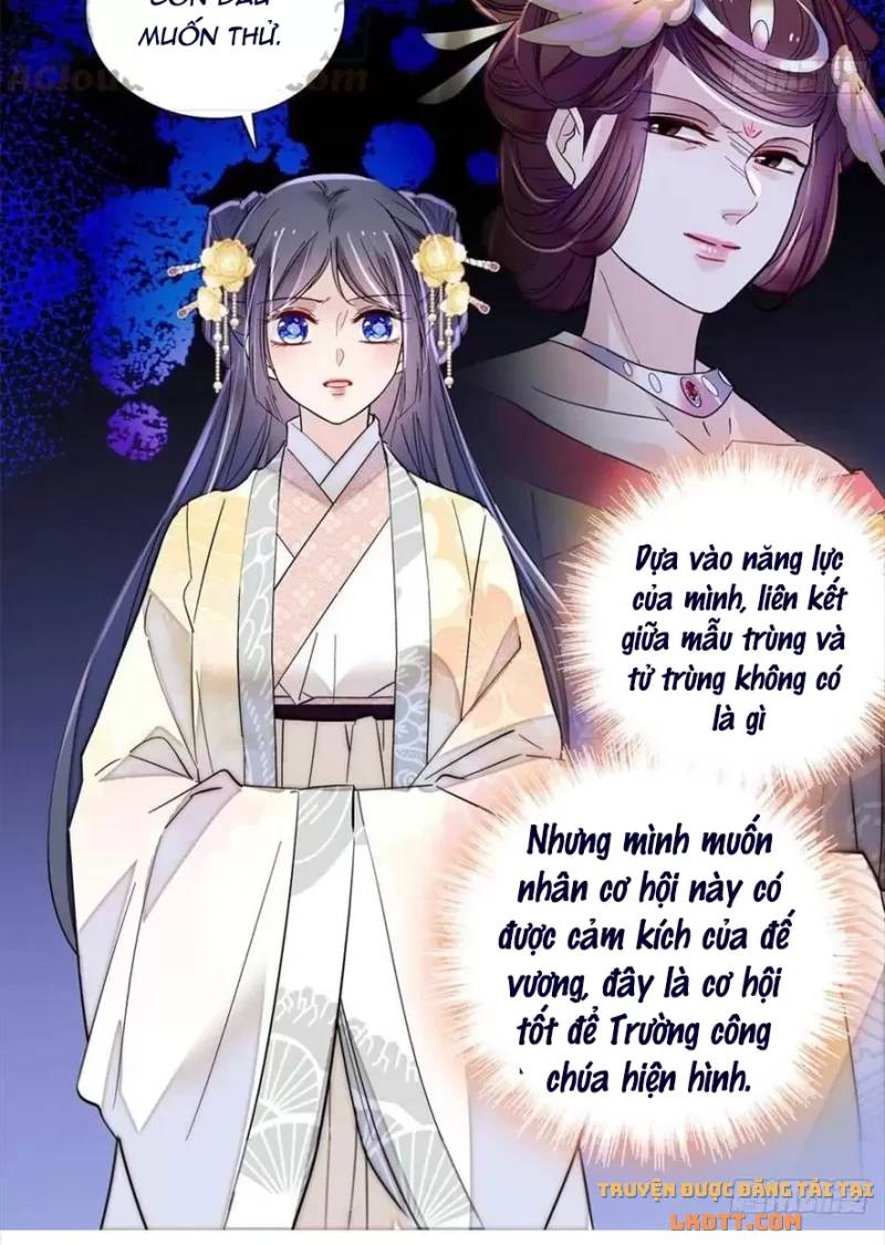 Tự Cẩm Chap 197 - Next Chap 198