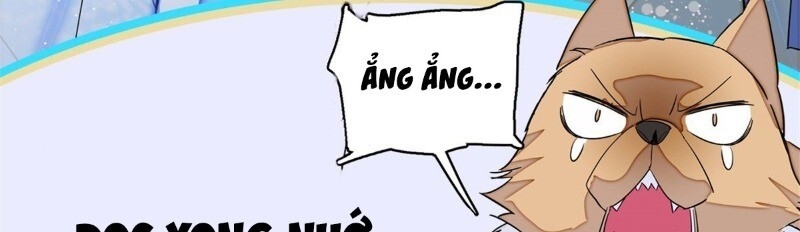 Tự Cẩm Chap 23 - Next Chap 24