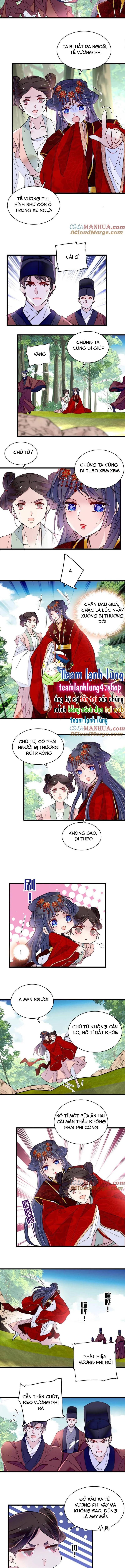 Tự Cẩm Chap 271 - Next Chap 272