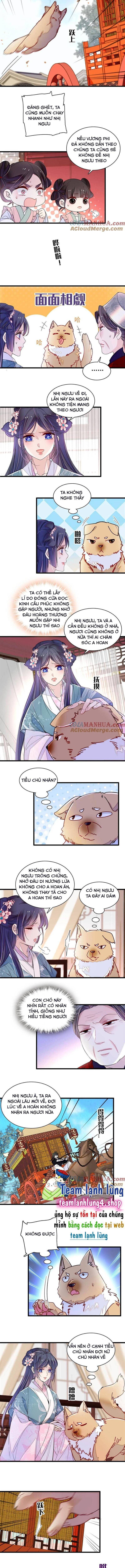 Tự Cẩm Chap 279 - Next Chap 280