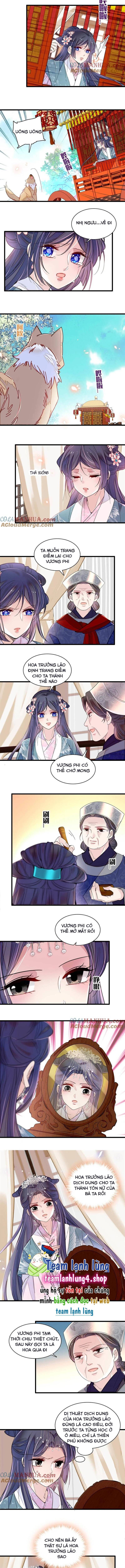 Tự Cẩm Chap 279 - Next Chap 280