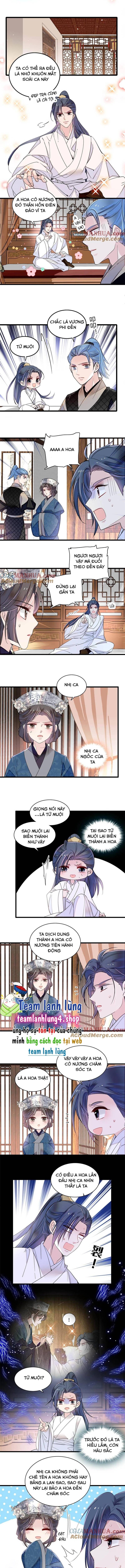 Tự Cẩm Chap 294 - Next Chap 295