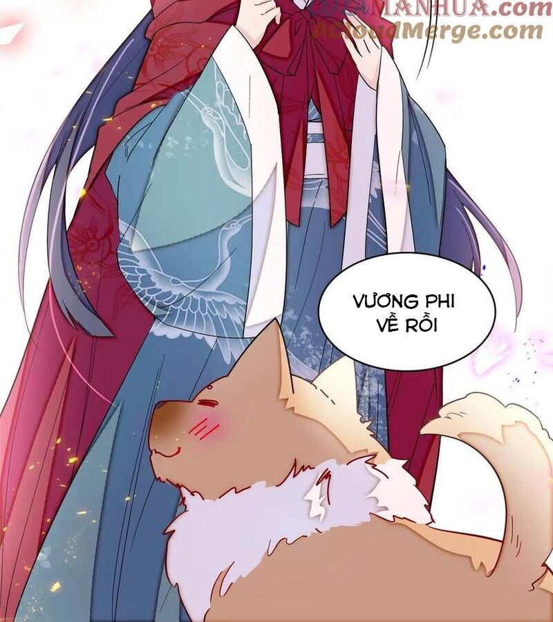 Tự Cẩm Chap 301 - Next Chap 302
