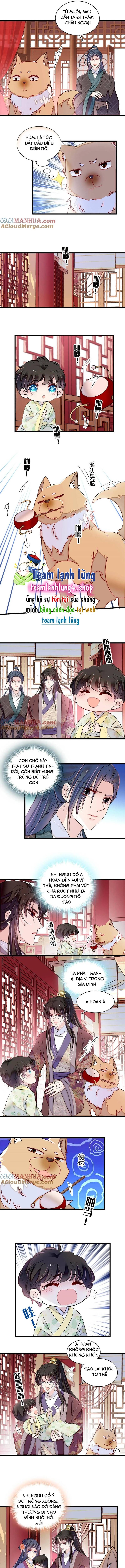 Tự Cẩm Chap 304 - Next Chap 305